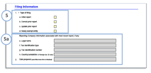 PDF BOIR – Filing Information 