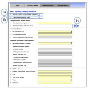 Reporting Company Tab (1 of 3)