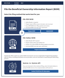BOI E-Filing System (2 of 2) 